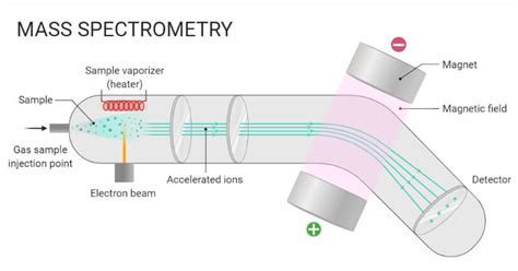 Mass spectrometry - News by Universiteit van Amsterdam lab tech ... - wintechmobiles.com