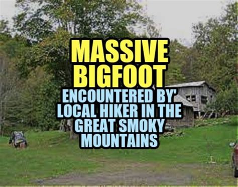 MASSIVE BIGFOOT Encountered by Local Hiker in the Great Smoky Mo…