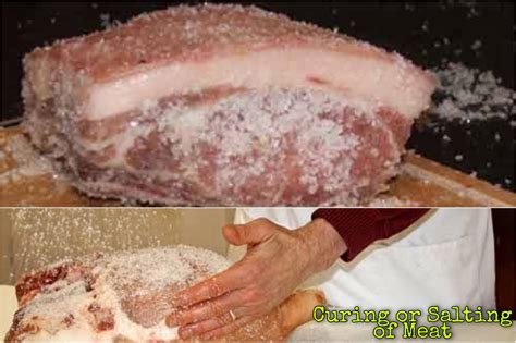 Master Meat Preservation: Salting & Smoking Techniques - wintechmobiles.com