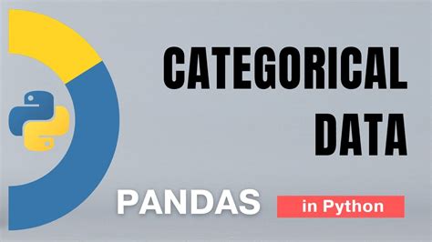 Mastering Categorical Data with Python and Pandas - wintechmobiles.com