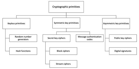 Mastering Cryptographic Primitives - coolestguyplanet.net