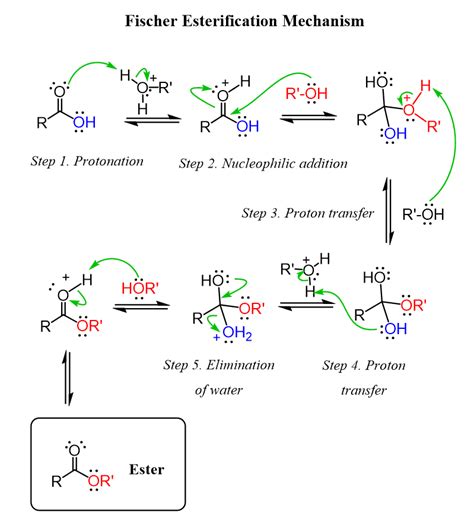 Mastering Esterification in Industrial Organic Chemistry - wintechmobiles.com