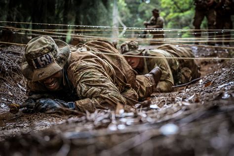 Mastering Jungle Warfare and Survival Tactics for Military Excellence - wintechmobiles.com