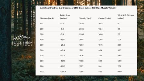 Mastering Long-Range Ballistics: The Long Range … - wintechmobiles.com