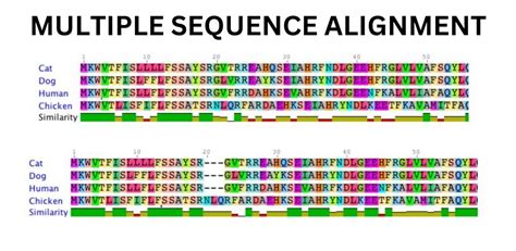 Mastering Multiple Sequence Alignment - coolestguyplanet.net