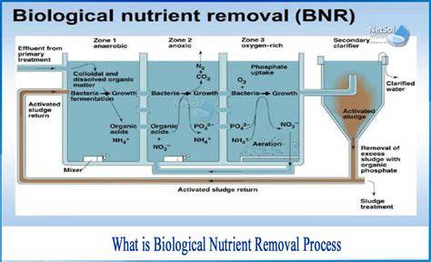 Mastering Nutrient Removal in Wastewater - raincitystudios.com