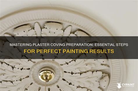 Mastering Raw Plaster Prep: Essential Steps For Perfect Paint ... - muktibox.com