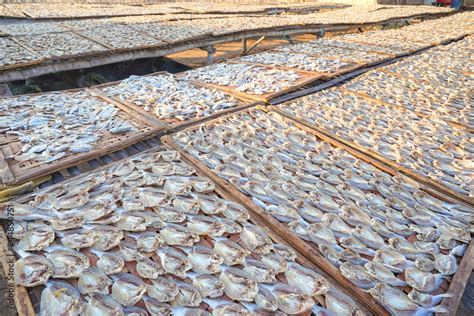 Mastering the Art of Drying Fish for Long-Term Storage - wintechmobiles.com