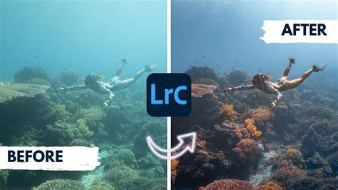 Mastering Underwater Photo Editing in Lightroom Classic - raincitystudios.com