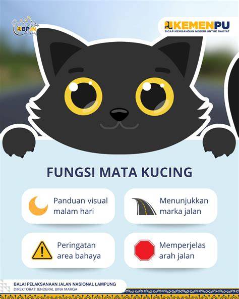 Mata kucing - Wikipedia bahasa Indonesia, ensiklopedia bebas - raincitystudios.com