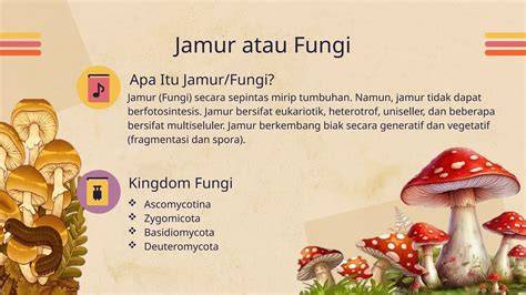 Materi Jamur atau Fungi Kelas X SMA - BSB - raincitystudios.com