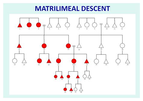 Matrilineal succession - wintechmobiles.com