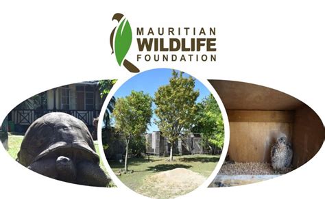 Mauritian Wildlife Foundation - raincitystudios.com