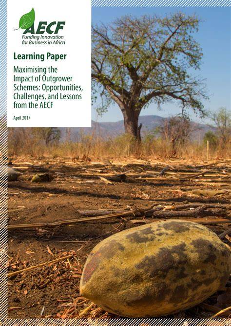 Maximising the Impact of Outgrower Schemes: Opportunities ... - AECF - raincitystudios.com