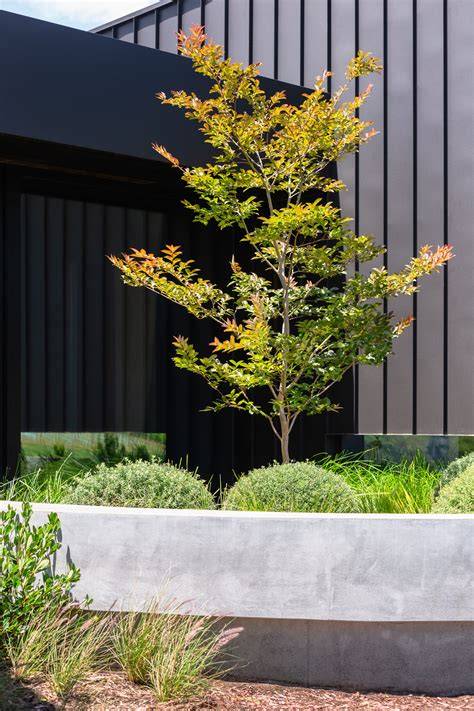 Maximizing Green Space With Trees On Boundary - Green Packs - raincitystudios.com