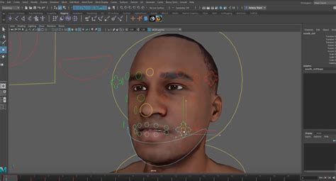 Maya Facial Rigging - A Step-By-Step Guide - muktibox.com