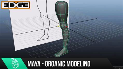 Maya Organic Modeling Tutorial - The Arm HD - muktibox.com