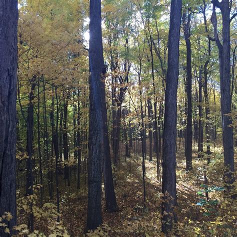 MAYBURY STATE PARK (Northville) - All You Need to Know …