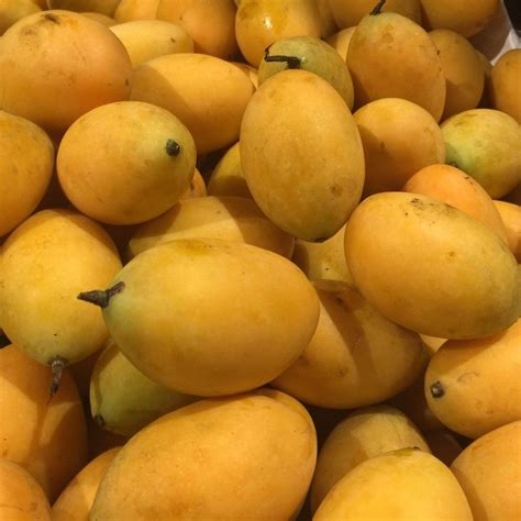 Mayong Chit: Buah Favorit di Thailand - raincitystudios.com