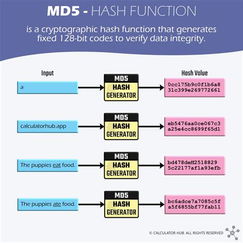 MD5 Hash Generator - Free Online Tool | Vayce - coolestguyplanet.net