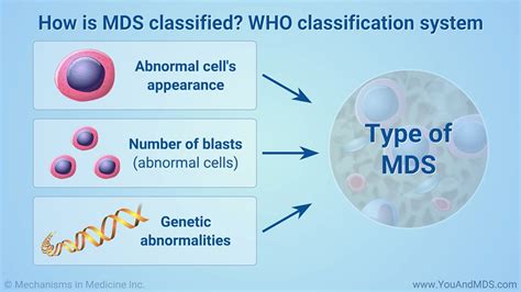 MDS definition of MDS by Medical dictionary