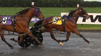 MEADOWLANDS, Saturday, 03/25/23 Horses In Today