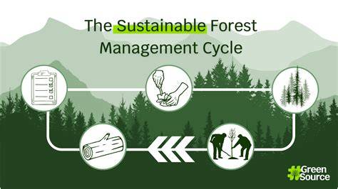 Measures for sustainable forest management in the … - raincitystudios.com