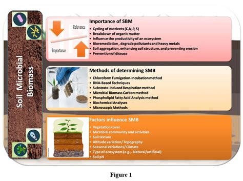 Measuring methods for soil microbial activity and biomass - raincitystudios.com