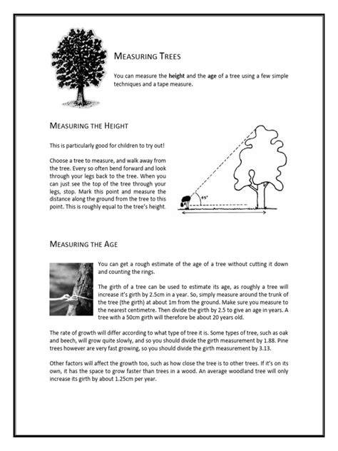 Measuring Trees - The Tree Register - raincitystudios.com