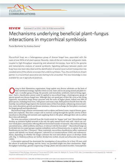 Mechanisms underlying beneficial plant–fungus interactions in ... - raincitystudios.com