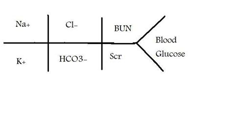 MED 114- Exam 4 Flashcards Chegg.com