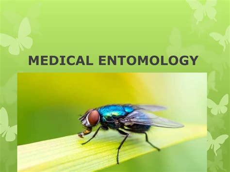 Medical Entomology - ScienceDirect - muktibox.com