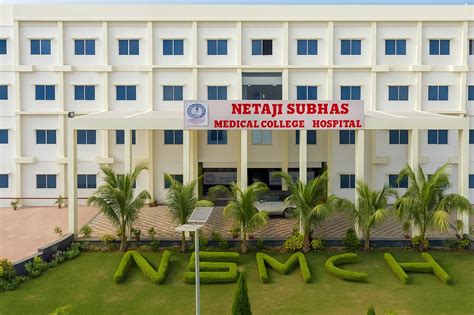 Medical Shops in Netaji Market - Nagpur, Maharashtra | A … - raincitystudios.com