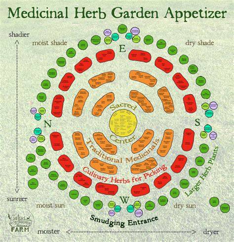 Medicinal Herb Garden Planning for Remedies - Mother … - raincitystudios.com