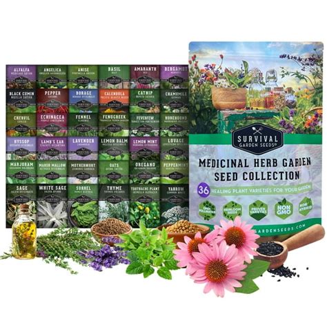 Medicinal Herb Garden Seed Collection - 36 Varieties - raincitystudios.com