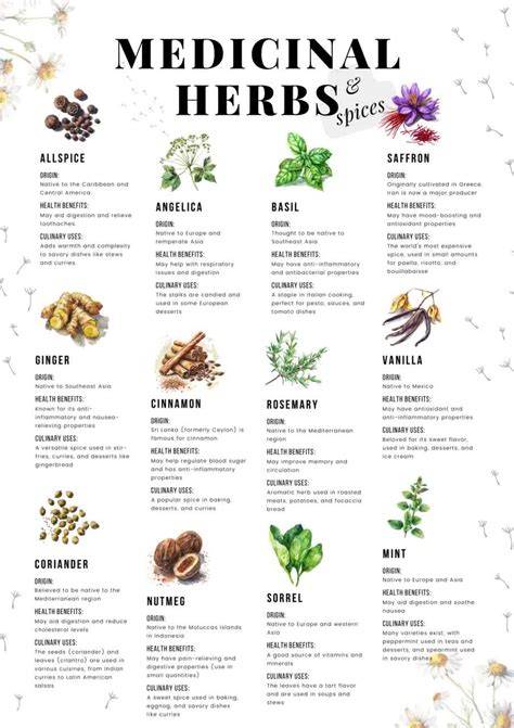 Medicinal Herbs Chart Plants Uses - Annies Remedy - raincitystudios.com