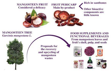 Medicinal properties of mangosteen (Garcinia mangostana L.): A ... - raincitystudios.com