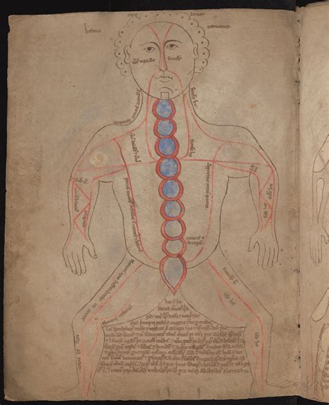 Medieval Medical Recipes - University of Cambridge - wintechmobiles.com