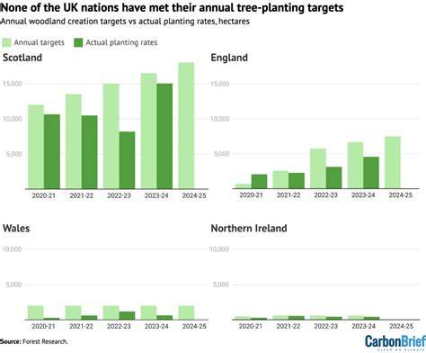 Meeting tree planting targets on the UK's path to net-zero: A review of ... - raincitystudios.com
