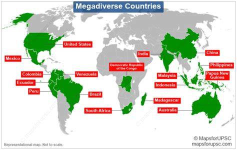 Megadiverse countries - raincitystudios.com
