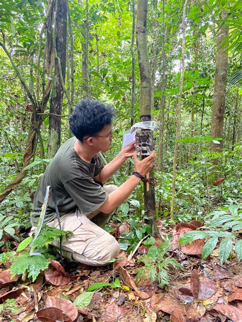 Melihat Lebih Dalam: Peran Vital Camera Trap dalam Upaya Restorasi ... - wintechmobiles.com