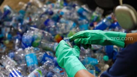 Melihat Proses Pengolahan Sampah Botol Plastik di … - raincitystudios.com