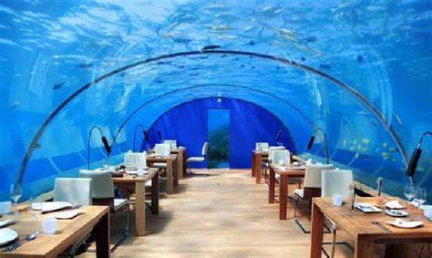 Melihat Restoran Bawah Laut di Maladewa. - KASKUS - raincitystudios.com