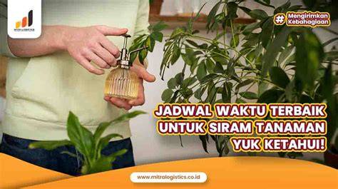 Memahami Jadwal Siram Ideal Berbagai Tanaman - raincitystudios.com
