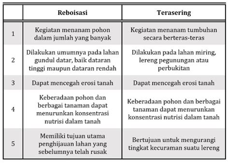 Memahami Perdebatan antara Reboisasi dan Robohisasi - raincitystudios.com