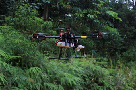 Memantau Hutan Harapan Dengan Drone - raincitystudios.com