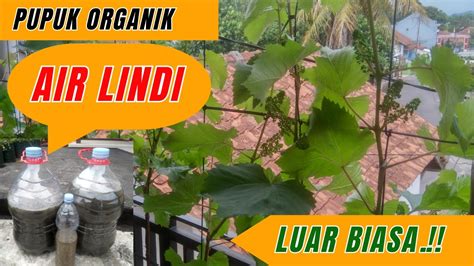 Membuat air lindi #gardening | Rumah Dedimini - raincitystudios.com
