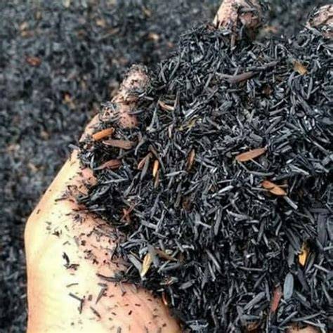 Membuat arang sekam bakar dengan mudah - raincitystudios.com
