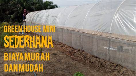Membuat Green House Sendiri - Bibit Online - raincitystudios.com