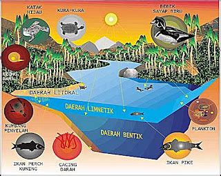 Memulihkan Ekosistem Danau Air Tawar ... - National … - muktibox.com